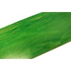 Moose Blank Skateboard Deck 8 Green Skateboards