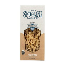 Sfoglini—Organic Durum Semolina Trumpets—Made with Traditional Techniques & Wholesome Organic Grain—Holds Tight to Sauce—16 oz Boxes