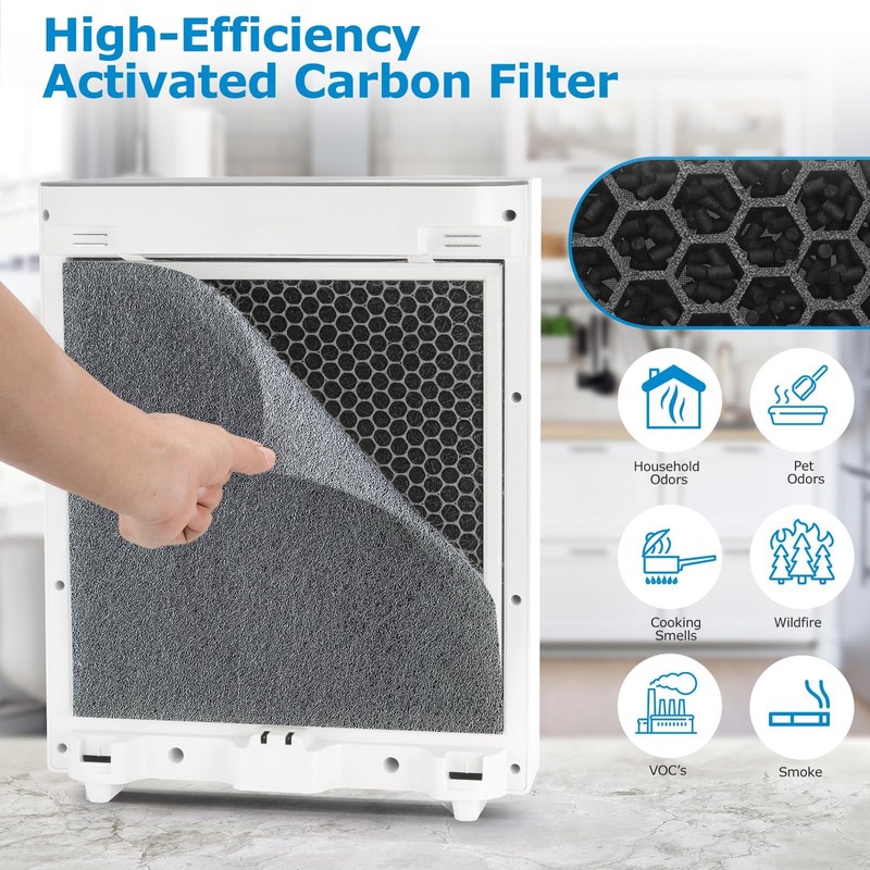 2 PACK HEPA Vital 100 Replacement Filter with 4 Extra