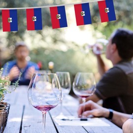 32FT Small Haiti Pennant Flag Bunting,30 PCS Mini String Banner Stripes Haitian Decor Rectangle for Holiday Restaurant Home Party School