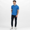 Regatta Herren Coolweave Polo Poloshirt, Blau (Oxford Blue), L