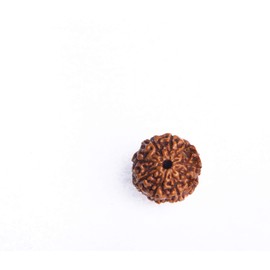 Wonder Care - Original Nepali Nine Faced Rudraksha 9 Mukhi Rudraksha Bead Natural Rudra Religious Rosary Bead