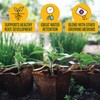 MagJo Naturals 100% Pure Coco Coir (Coco Peat) 11 Pound