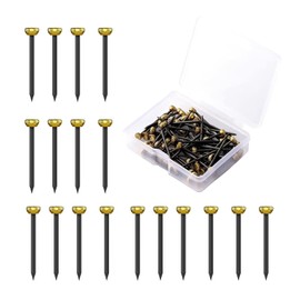 100 Pcs Picture Pins, Nails for Hanging Pictures, Wall Pins for Hanging, Picture Hanging Nails for Walls Picture pins Nails for Picture Hanging Nails,with Plastic Storage Box Hanging