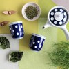 Japanese Sencha Green Tea, Loose Leaf - Caffeine, Unflavored &