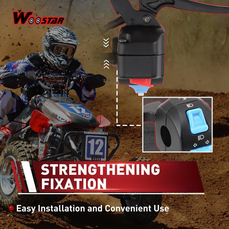 WOOSTAR 10 Wire 3 Function Left Handle Switch Replacement for