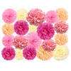 20 Pcs Paper Pom Poms Kit, Tissue Paper Flowers for