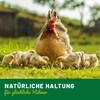HÜHNER Land Winter Bronchi Liquid 20 ml for Chickens I