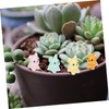 Mipcase 12Pcs Glow Dark Miniature Dog Statues Cute Puppy Ornaments
