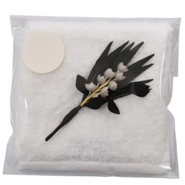 watawa Imabari Towel, Handkerchief, Hand Towel, Original Gift Set, Gift B, 9.8 inches (25 cm), No Cotton Ironing Required, Fluffy, Terry Cloth, Plain, Water Absorbent (White)