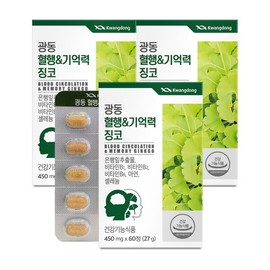 광동제약 (광동)혈행 기억력 징코 60정 3박스(6개월분) 비타민B / 광동제약 (광동)혈행 기억력 징코 60정 3박스(6개월분) 비타민B