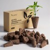 LetPot 40 PCS Seed Starter Sponges, Square Replacement Grow Sponges