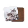1 x Cute Maine Coon Kitten Cat Coaster - Feline