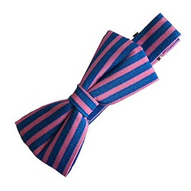 Hand Fun Modern Bow Alligator Hair Clips – Assorted Colours and Models