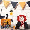 Cat Hallowen Advent Calendar 2025,13 Days Cats Toys Countdown Calendar