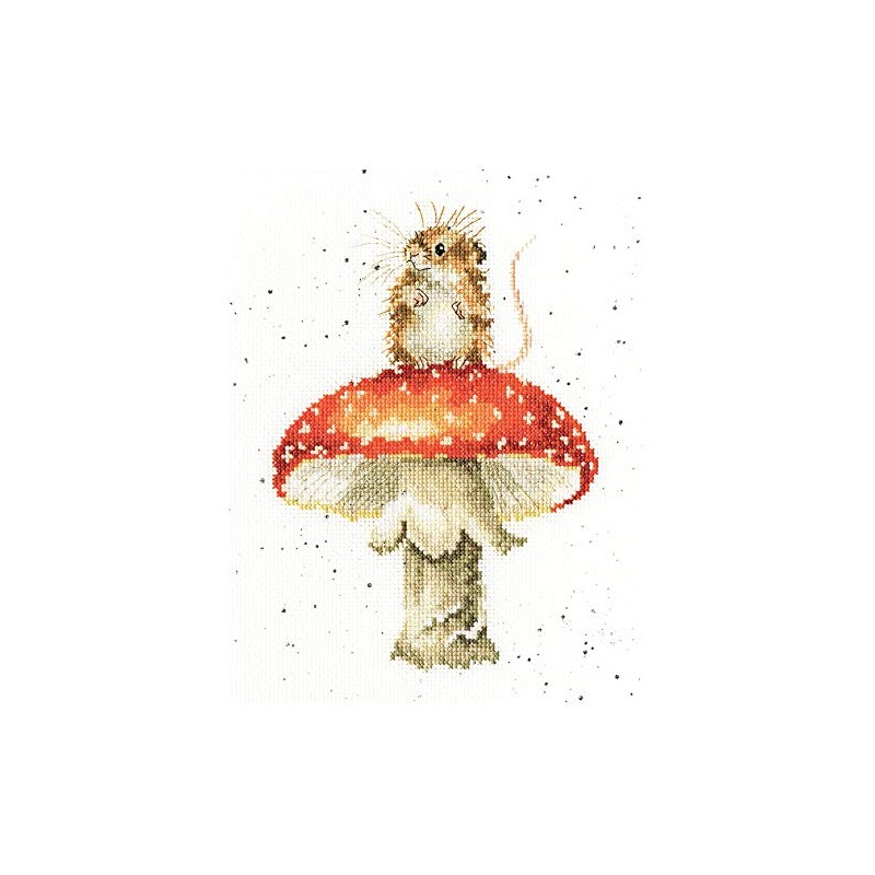 Bothy Threads He is a Fun-Gi Counted Cross Stitch Kit,