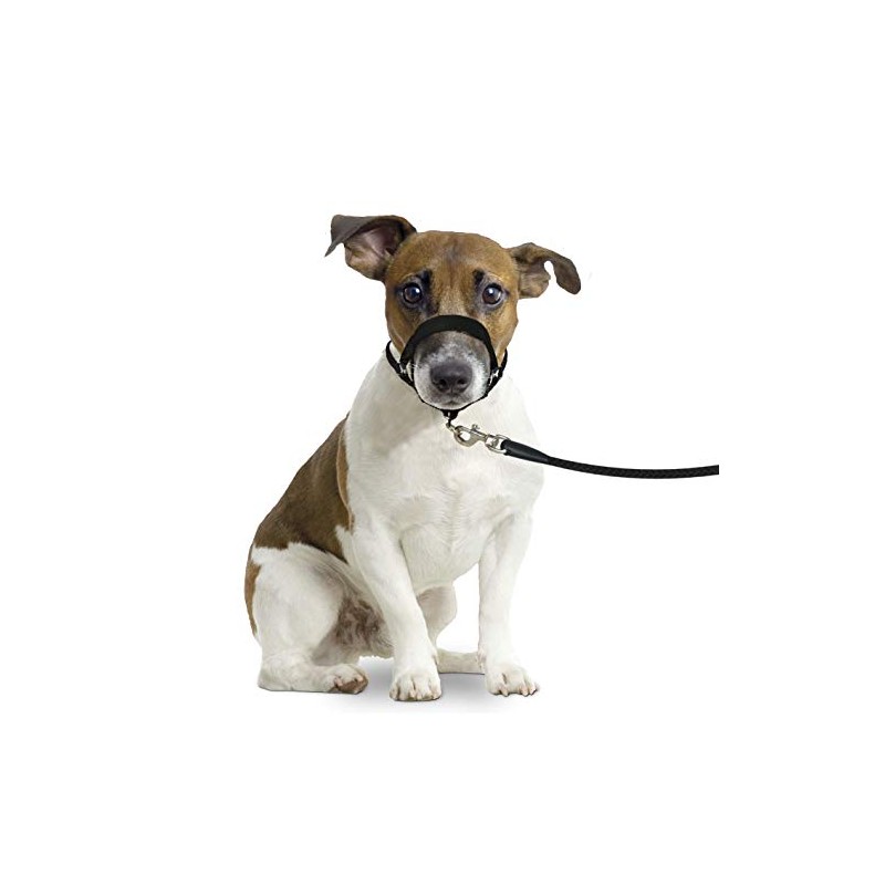 Karlie 502594 Easy Lead Medium Black