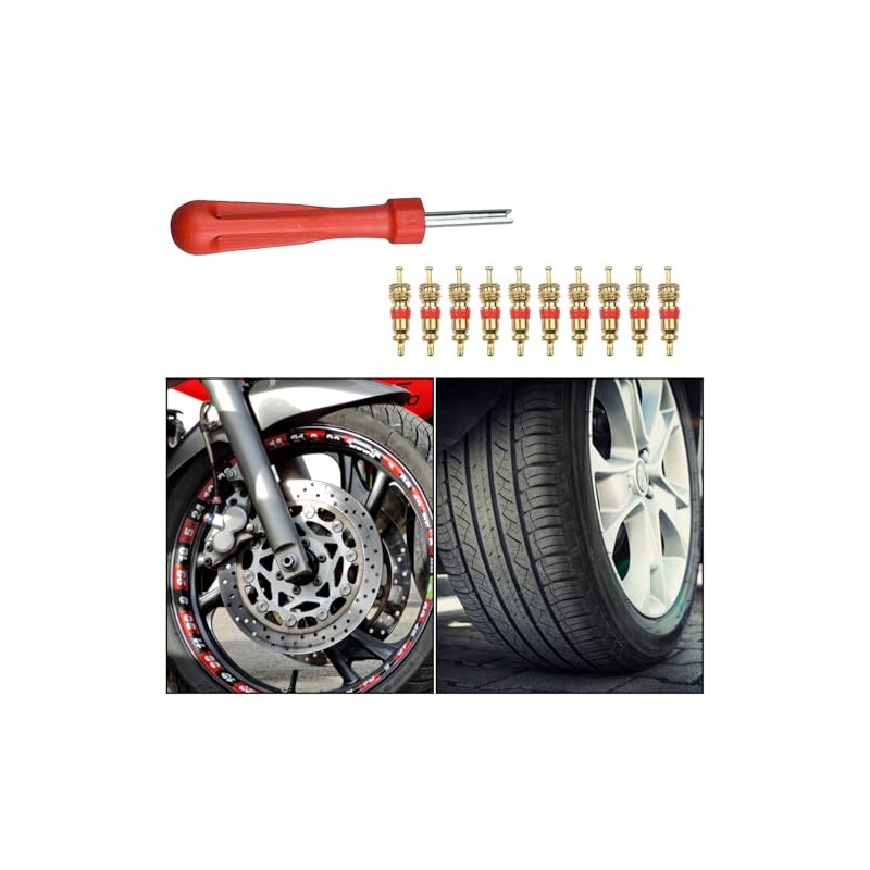 JOYVOX 33-Pcs Tire Valve Repair Kit with Core Remover &