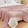 Rendile Throw Blanket Large, 200 x 230 CM Flannel Fleece