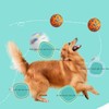 TONGNENGLIU Pet Toy Balls Bite Resistant Teeth-Grinding Toy Ball Dog
