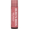 Burt's Bees Lip Tint Balm Stocking Stuffers Gifts, Long Lasting