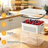 IKKAB 3 Pack Fruit Storage Containers for Fridge with Removable