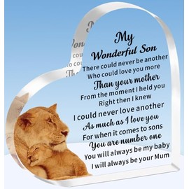 TTOVEN Son Gifts Son Plaque Son Birthday Gifts Graduation Gifts for Son Father's Day Gifts for Son My Wonderful Son Plaque