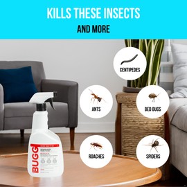 Bugg Insecticide - Ready-to-Use - Indoor Bed Bugs, Ants, Spiders, Roaches, Centipedes - 32 oz Ready to Spray Bottle | BUGGSLAYER