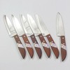 Thai Kitchen Steak Knives Stainless Steel Knives Kiwi 503 6