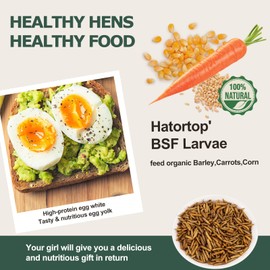 5LB Dried Black Soldier Fly Larvae for Chickens Treats Bulk - Non GMO BSF Larvae 85~180X More Calcium Than Dried Mealworms for Laying Hens, Chicken Worms for Wild Birds Natural Insect Poultr Feed