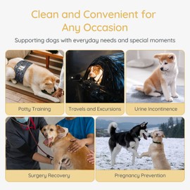 BELLA & PAL Dog Nappies for Males, Pack of 3, Reusable Belly Bands for Incontinence, Dog Marking, Excitable Urination, Washable, Environmentally Friendly for Large Male Dogs (XL, 61-74 cm)