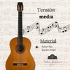 Solera Flamenca Strings Concierto Guitar Strings