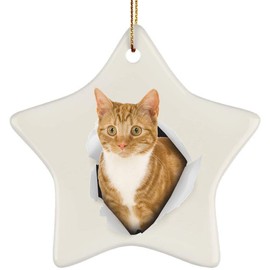 Funny Tabby Cat Red Coming Out of Cracked Wall Gifts 2024 Christmas Tree Ornaments Ceramic Star