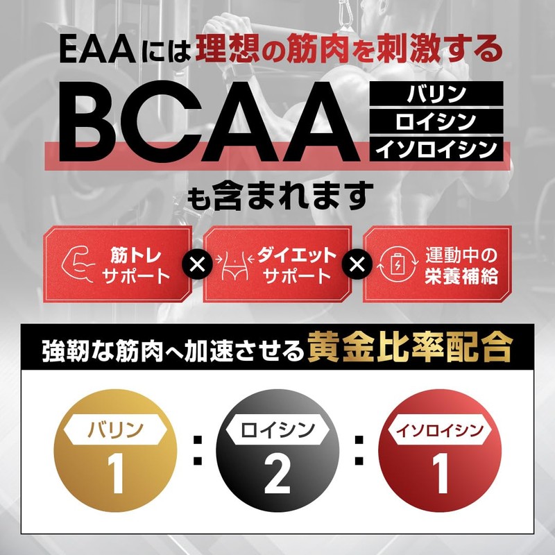 ＬＥＶＥＬ．ＦＩＴ EAA 人工甘味料不使用 無添加 アセロラ風味 630g