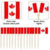 Canada Flag Skewers, Toothpicks with Canada Flag, Canada Cocktail Stick