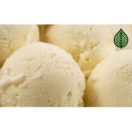 Very Vanilla Fragrance Oil (8oz Bottle) | Candle Making, Soap Making, Room Sprays, Bath Bombs, Lotion, Car Fresheners, Wax Melts | Candeo Candle Supply | Phthalate Free & Prop 65 Compliant