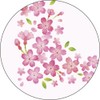 Taka Seal Certificate Paper 10-1701 Cherry Blossom A4 Sheet 10