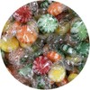 Bayside candy Mints Collection (Assorted Fruit Starlight Mints, 2LB)