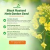 Outsidepride Black Mustard Seeds - 10000 Pcs Nutrient-Rich, Flavorful Annual