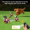 QDAN Interactive Dog Toys, Squeaky Moving Ball Toy with Remote