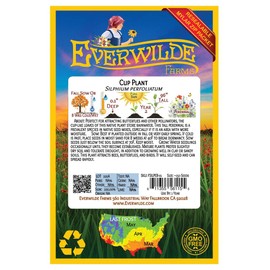 Everwilde Farms - 75 Cup Plant Native Wildflower Seeds - Gold Vault Jumbo Seed Packet