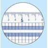 Kokuyo CL-RG30 Square Straight Ruler Scale Size 11.8 inches (30