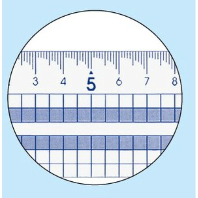 Kokuyo CL-RG30 Square Straight Ruler Scale Size 11.8 inches (30