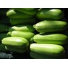 ATLAS Zucchini -Green Eden