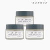 Vegetaology [Vegetology] Viniferine Brightening Cream 50ml 3 boxes / [베지톨로지] 비니페린 브라이트닝 크림 50ml 3통