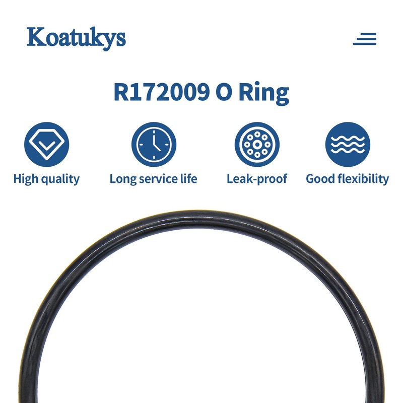 Koatukys 3 PCS R172009 O-283 O-Ring Replacement Compatible with Pentair