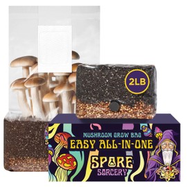 SPORE SORCERY 2 LB All-in-One Grow Bag: Up to 16oz of Mushrooms! Nutrient-Enhanced, Injection Port, Just Add Your Own Spores & Grow Like Magic