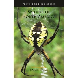 Spiders of North America (Princeton Field Guides)