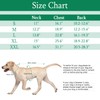Dog Recovery Suit, After Surgery Wear for Pets Male Female,