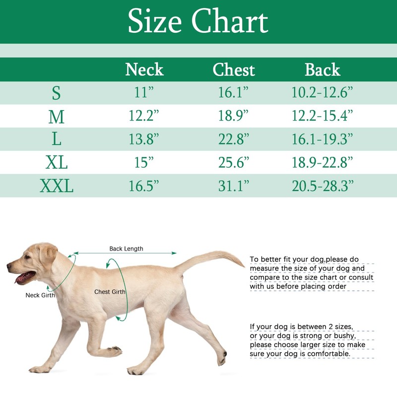 Dog Recovery Suit, After Surgery Wear for Pets Male Female,